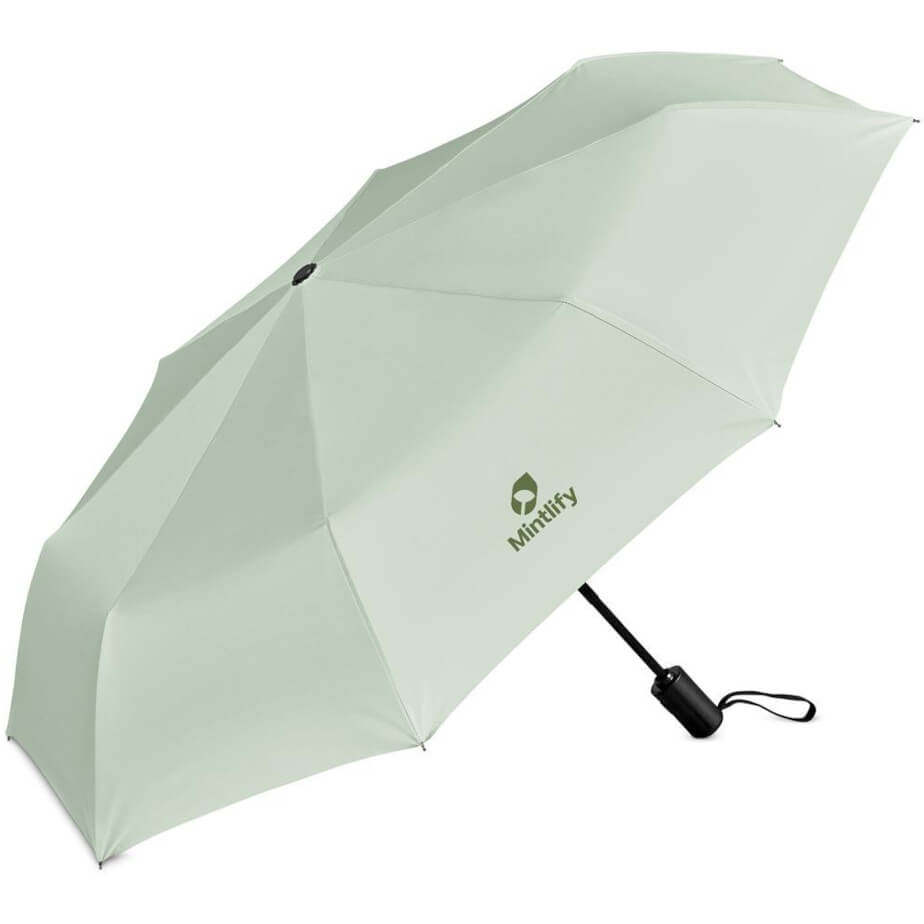 Serendipio Sleet Auto-Open Compact Umbrella image